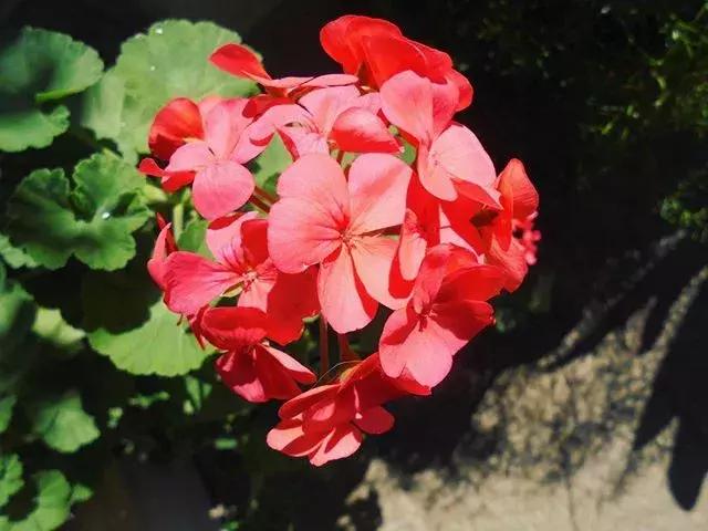 潘通流行色是怎么确定的,潘通官网2021流行色亮黄色