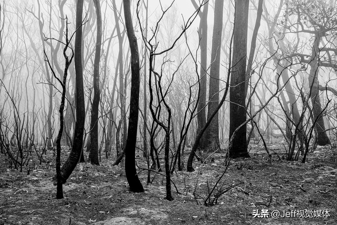 2020国际摄影大赛获奖图片,国际摄影大赛获奖作品风光摄影