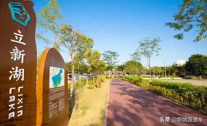 深圳60个最适合一日免费景点,暑假深圳旅游必去十大景点