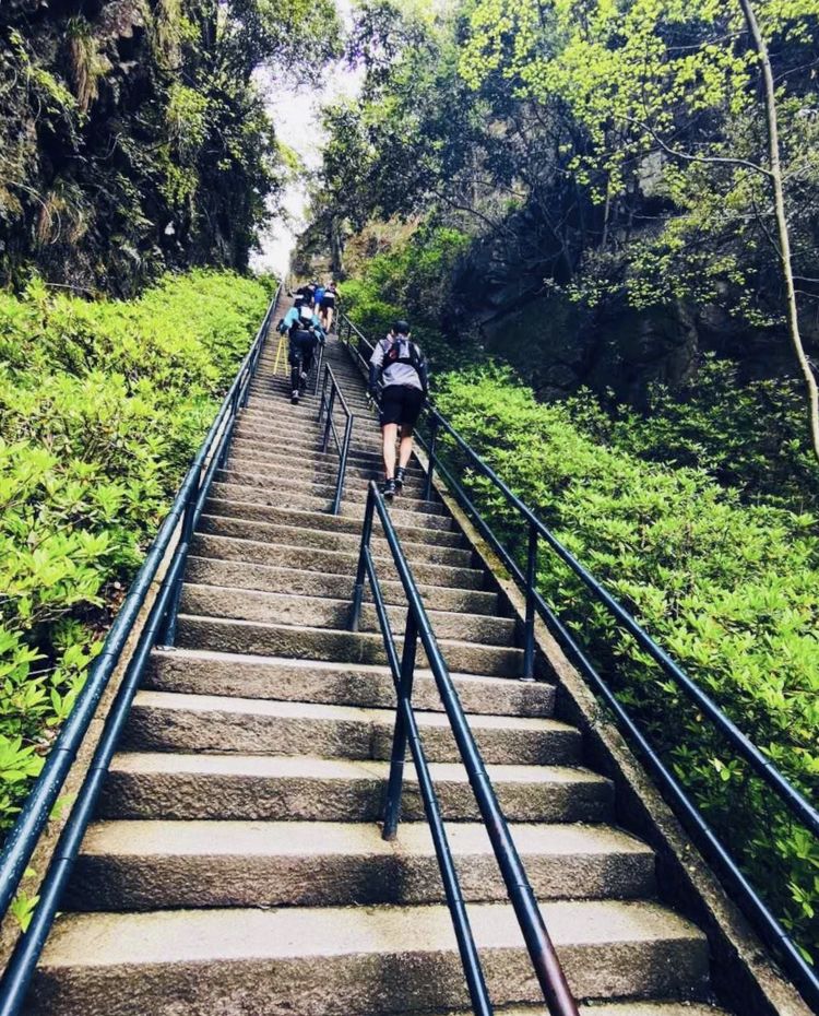 2020年江南100英里越野赛,江南100越野赛选手名单