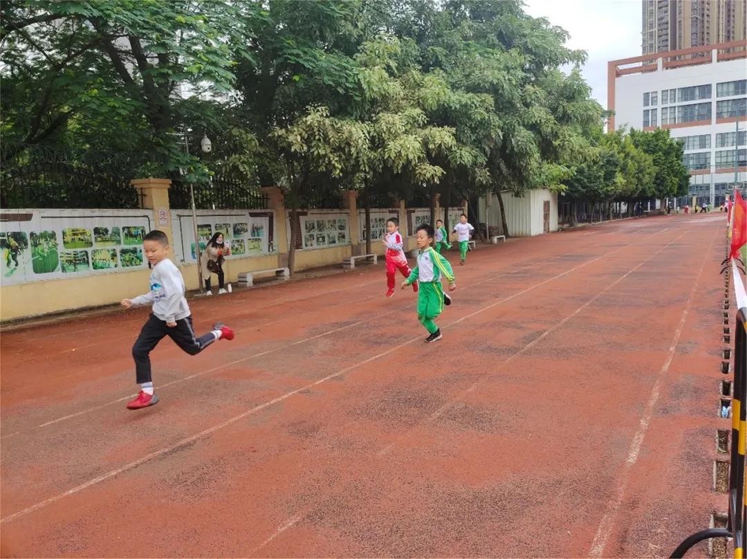 龙腾虎跃展英姿,龙腾虎跃展宏图
