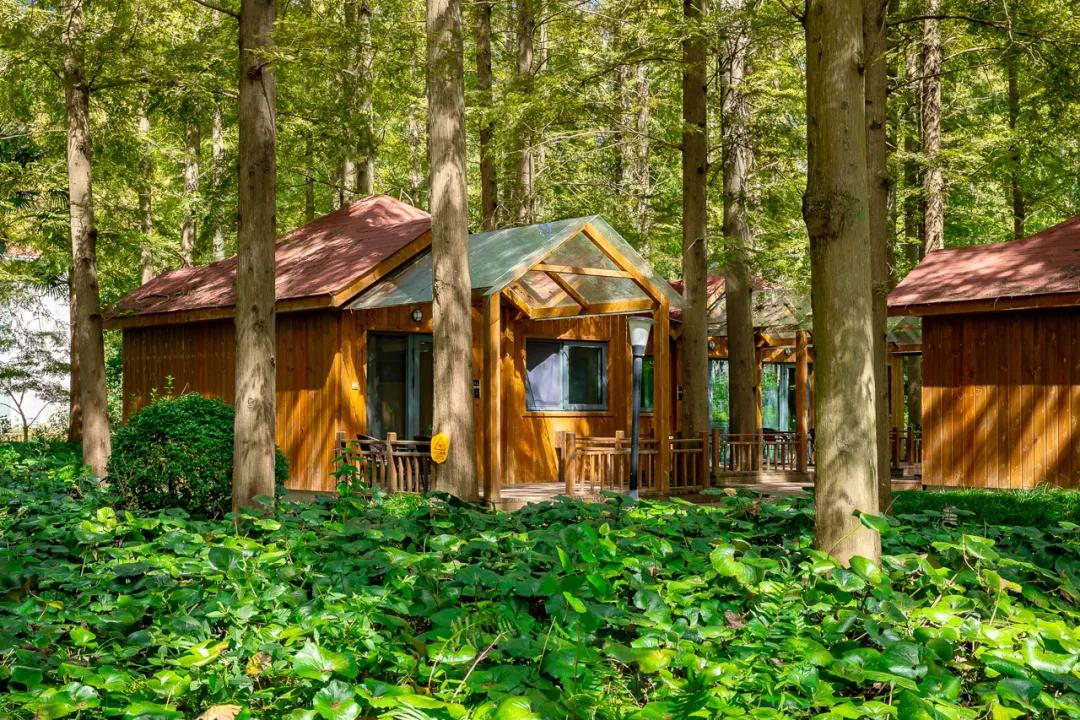 足不出沪的假期,足不出沪游上海