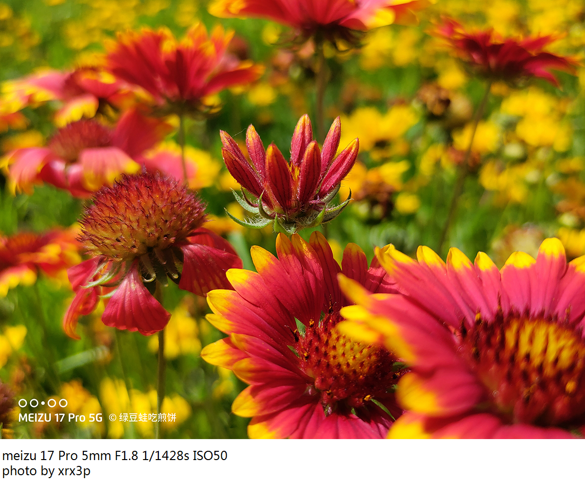 魅族17pro拍照怎么用,魅族17pro拍照体验