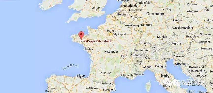 濂界墿娼祦鏉ヨ,鑳跺師鎶楄“绮惧崕