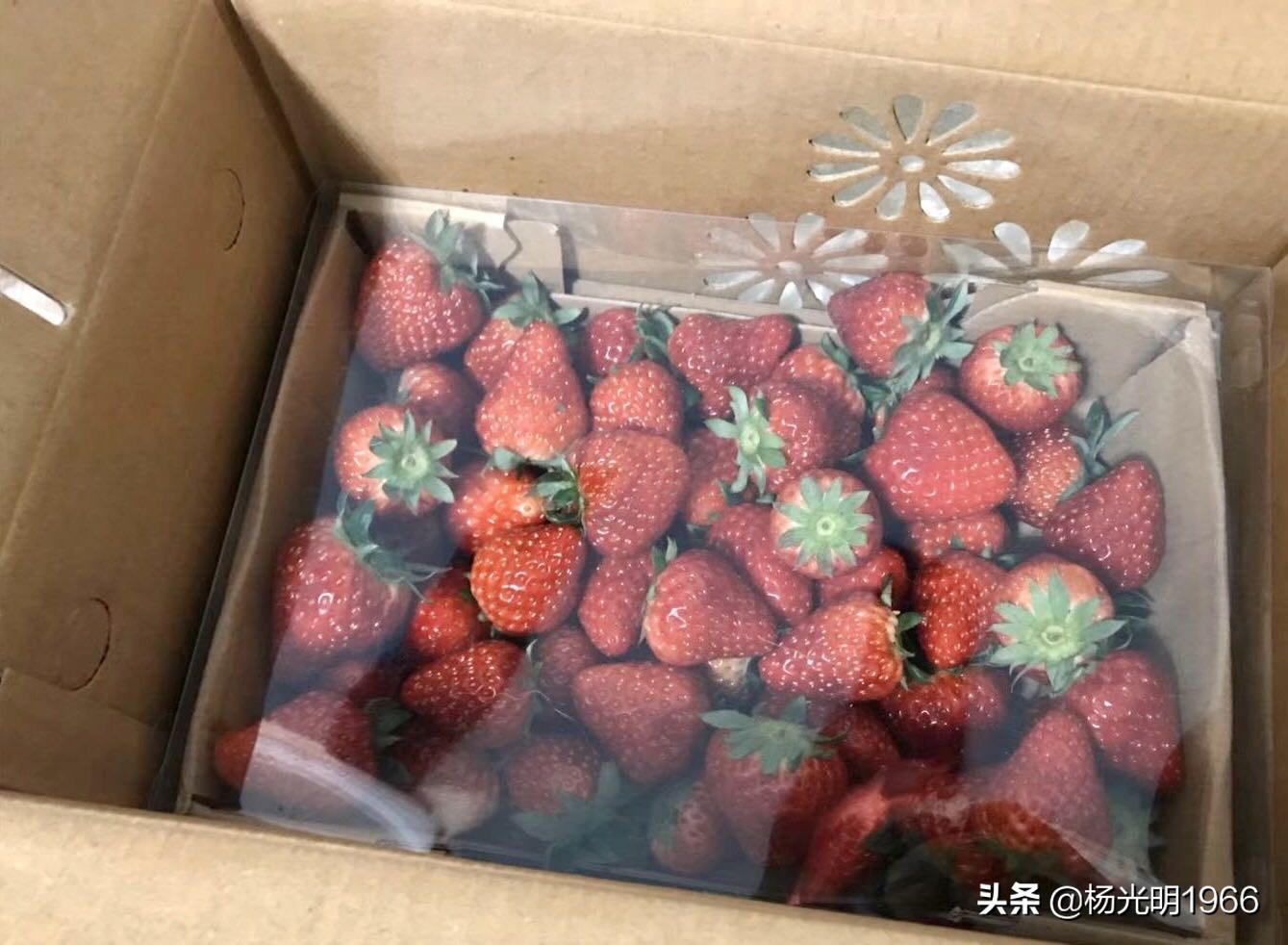 鍑噷鏀惰垂绔欏崠鑽夎帗 (鍑噷闄勮繎鐧借壊鑽夎帗)