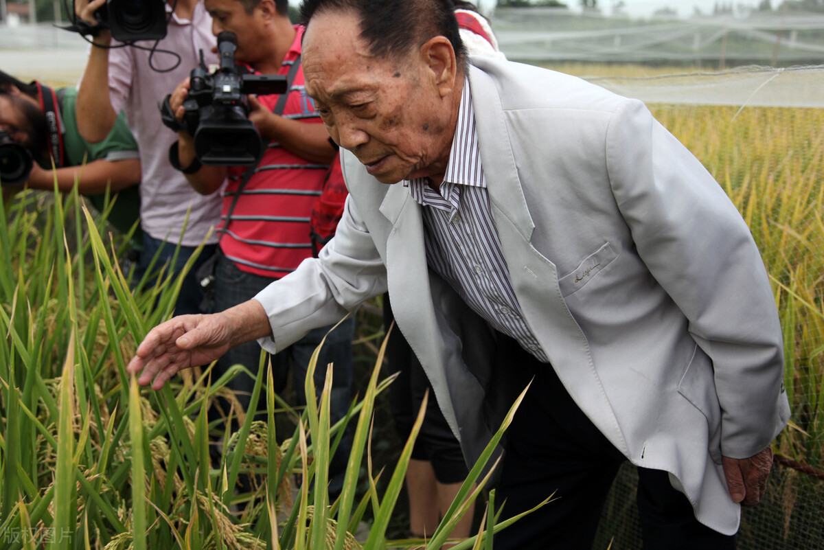 吃饭不忘种稻人,吃饭不忘种田人报恩