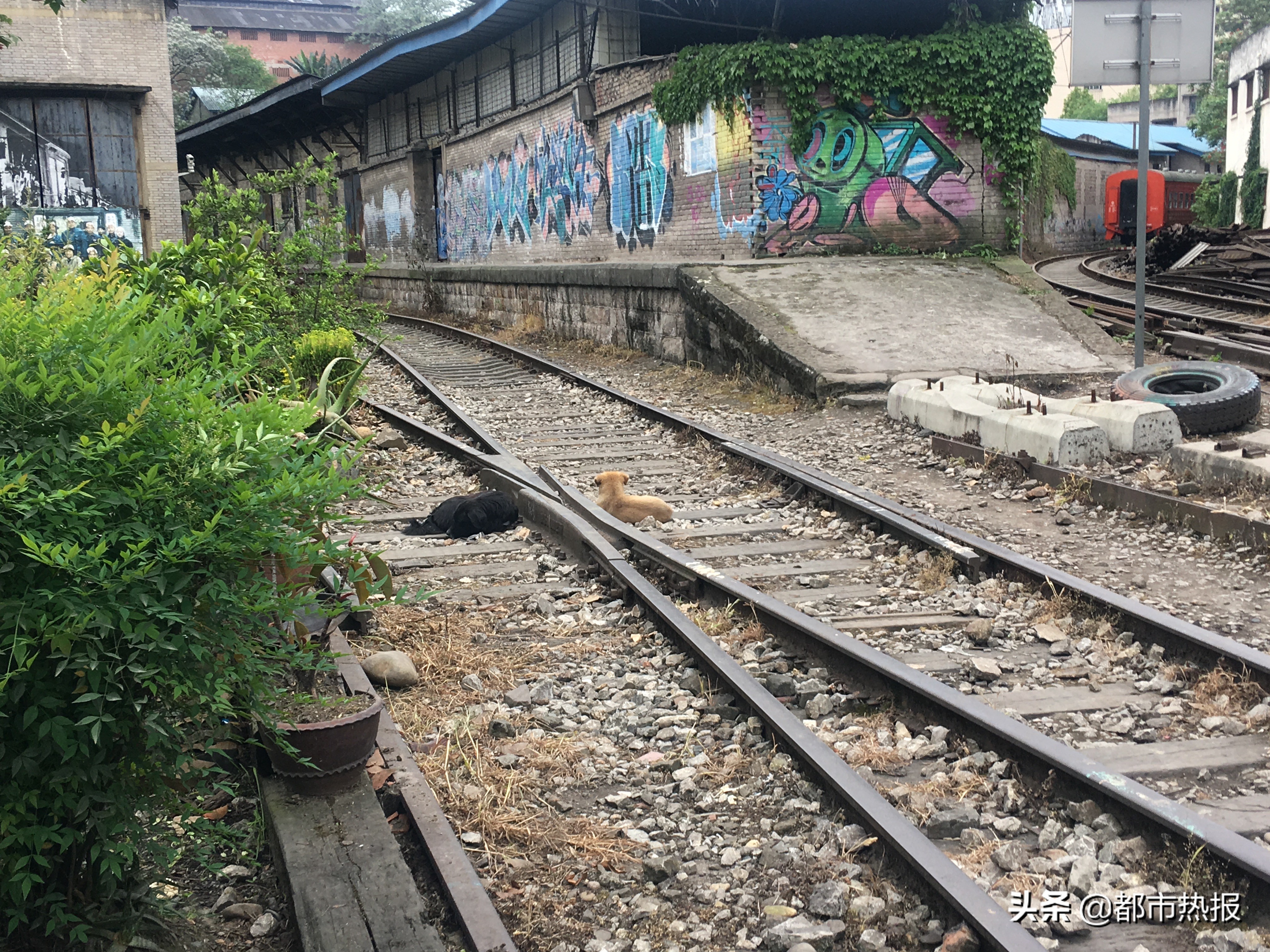 跟着轨道去打卡,跟着四线城际去旅游