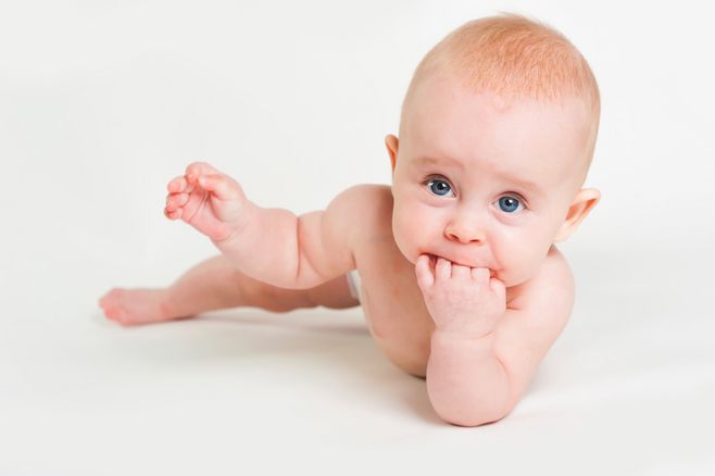 羊奶粉牛奶粉的区别,羊奶粉和牛奶粉哪个口味接近母乳