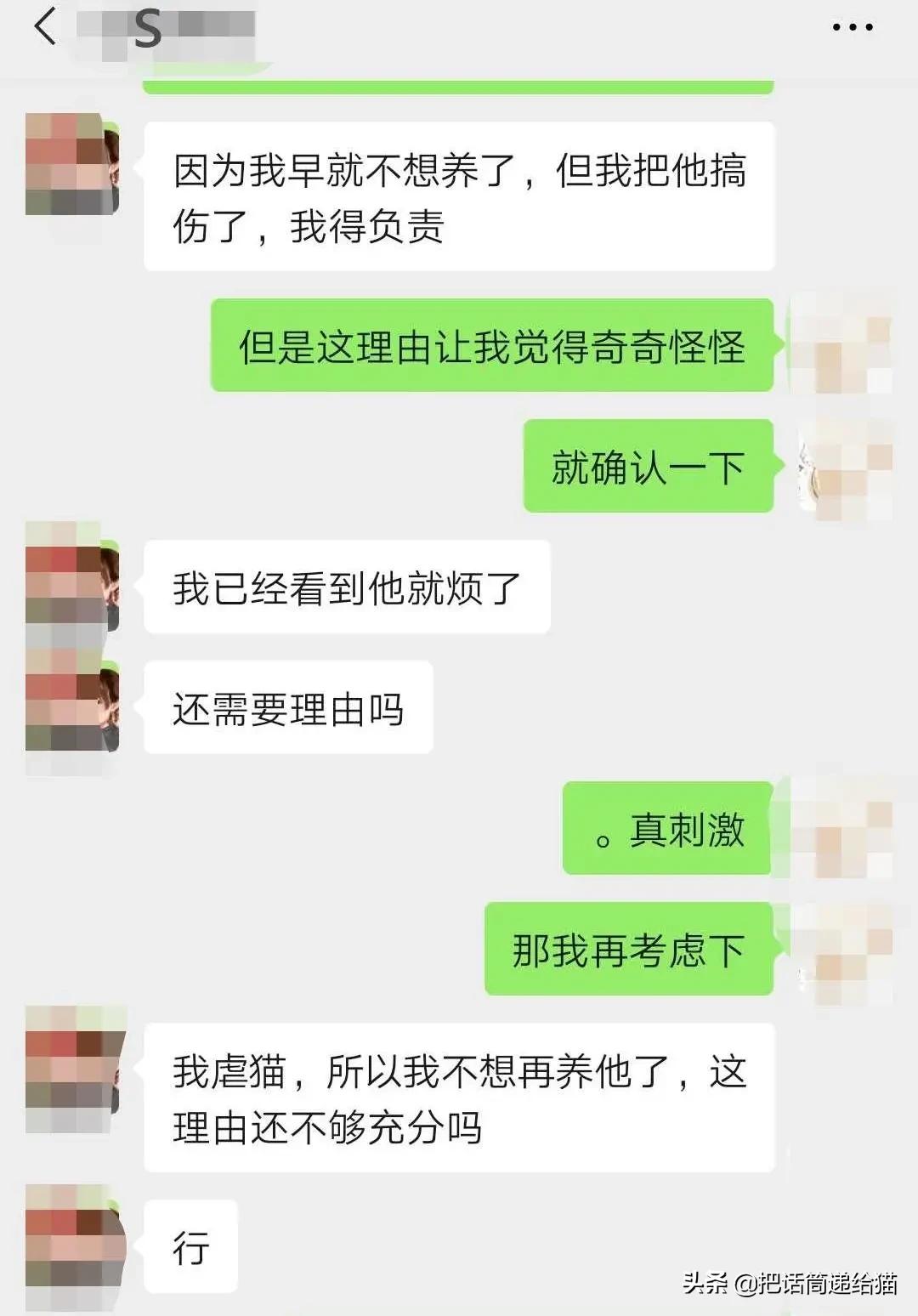 虐猫后良心发现加价“*养送**”？在日本领养流浪猫没你想的那么美好