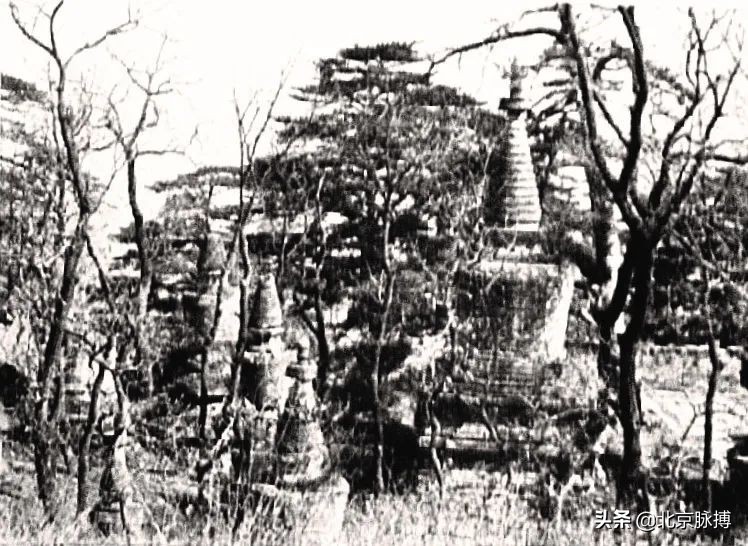 画说丨百年前德国建筑师镜头下的北京宝塔