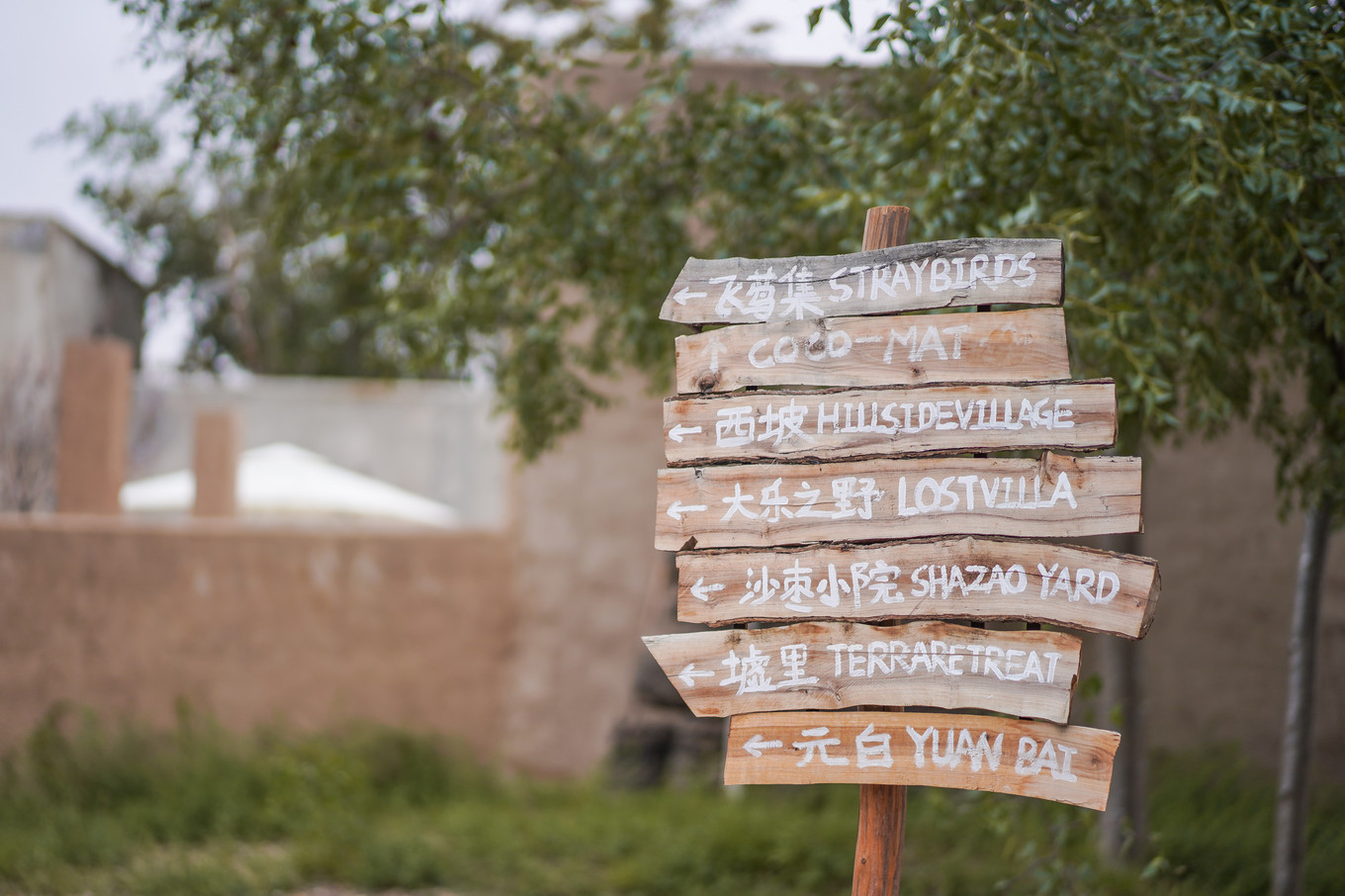 宁夏沙漠旅游住哪里好,宁夏中卫民宿价格表