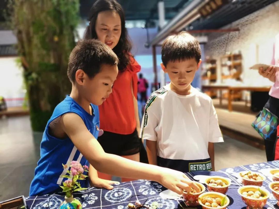 大地风景乡村振兴实验基地大吉祥村迎来本草小象馆加盟