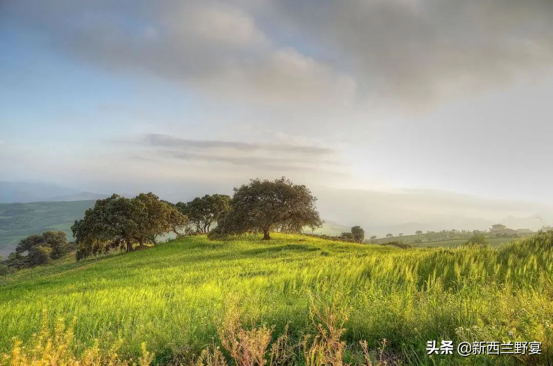 livinwild,livinwild閲庡