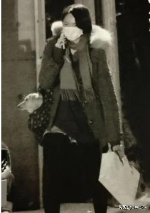 日本女性艺人照片大全新垣结衣,日本女星新垣结衣颜值下降