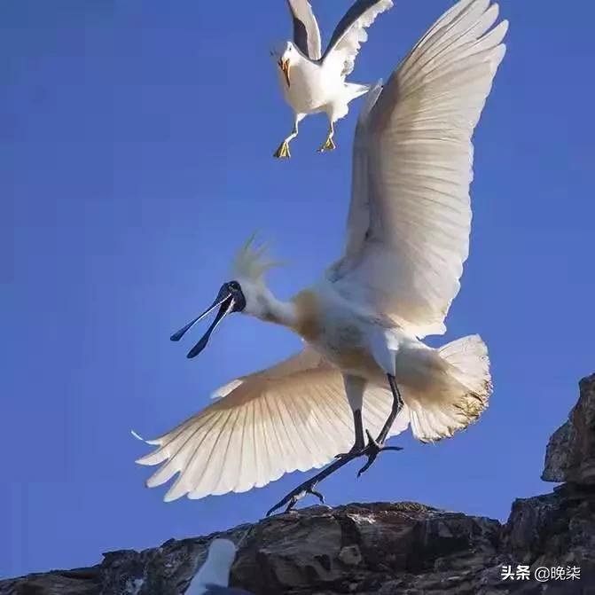 我骄傲我自豪我是中国人歌曲,我是庄河人