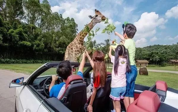 童话梦幻王国亲子游,亲子游玩好去处七彩童话