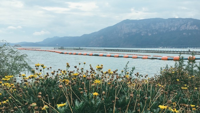 云南不止有风花雪月的苍山洱海,去西双版纳感受傣族民族风情