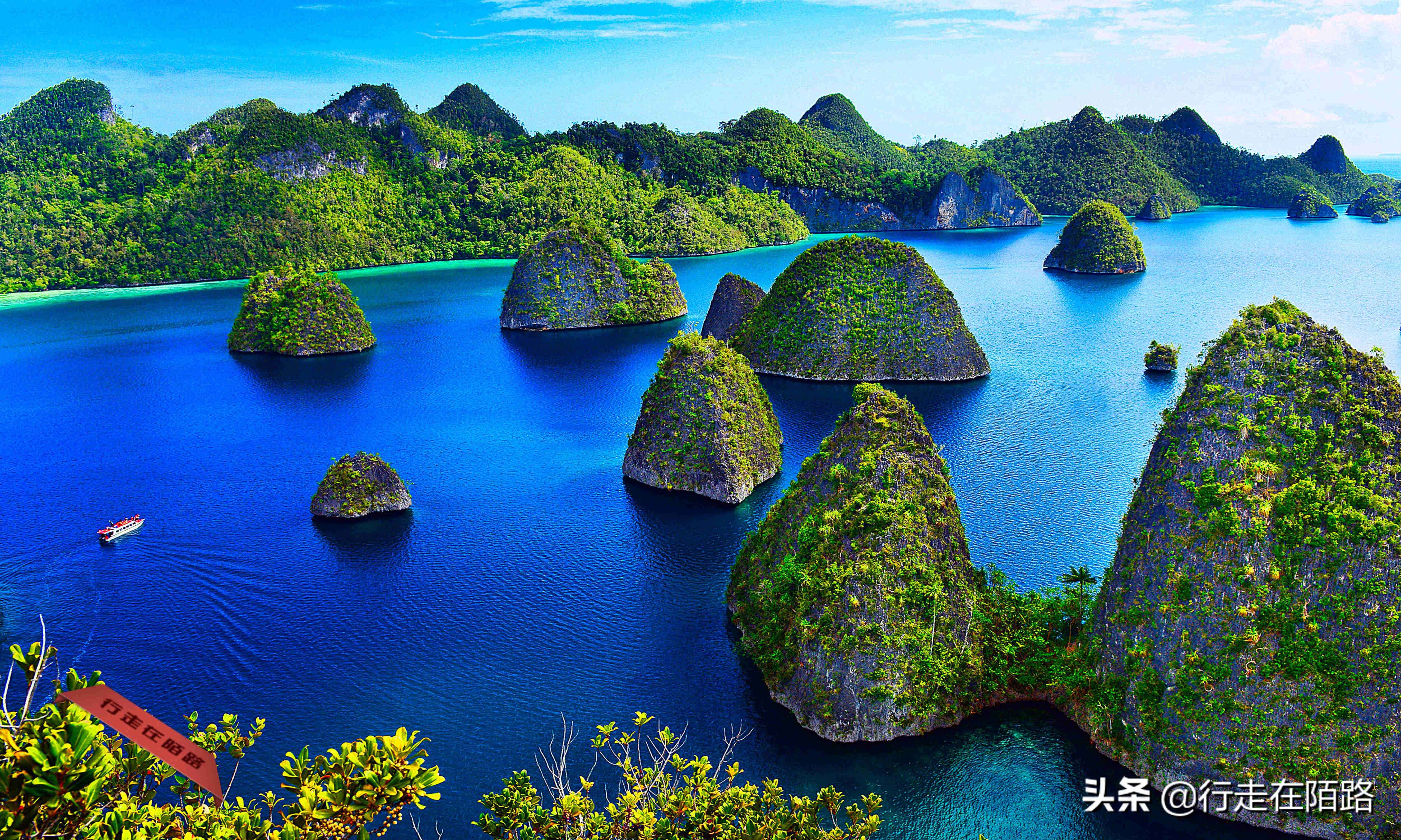 四王岛帕劳,四王岛和帕劳哪个好