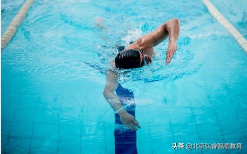自由泳长游不累的游法3d动画,自由泳长游不累为什么要权威解答