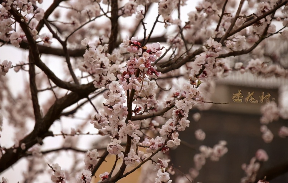 安徽被低估的一座县,安徽池州古城