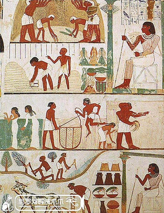 古埃及人都有什么饮食习惯,古埃及饮食习惯