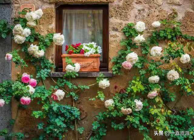 书单推荐霸道总裁小说,100本必读书单