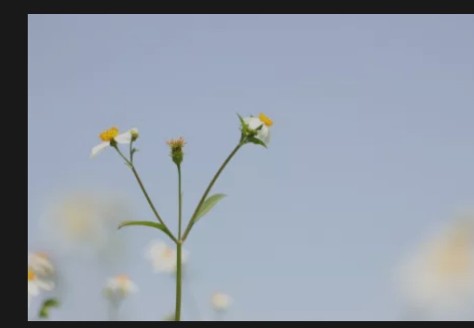 长得丑做什么都没自信怎么办,因为自己长得丑没有自信怎么办