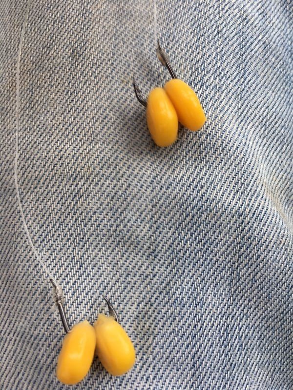 小鱼闹窝特厉害怎么办,小鱼闹窝技巧视频