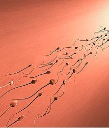 夜晚精子“决堤”，与这3个原因有关，有3个办法可以解决，别害羞