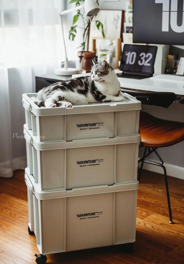 实用书桌收纳好物推荐,书桌炫酷布置好物推荐