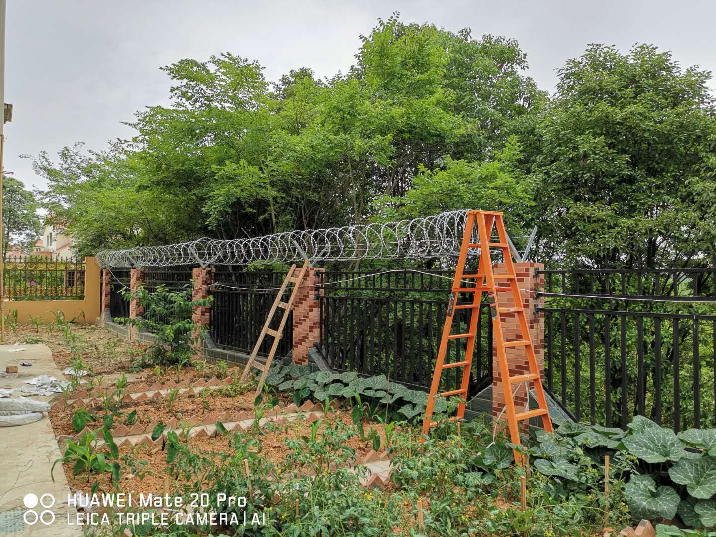 有惊无险的一天的记录,一次有惊无险的经历朋友圈