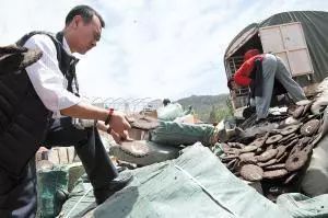 普洱茶投资市场,普洱茶投资规律