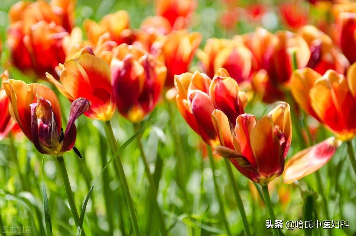 35岁停经原因有哪些,35岁停经症状有哪些