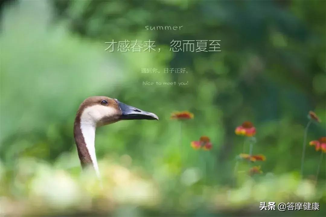 失眠不想吃安眠药怎么治,失眠不想吃饭吃什么药好