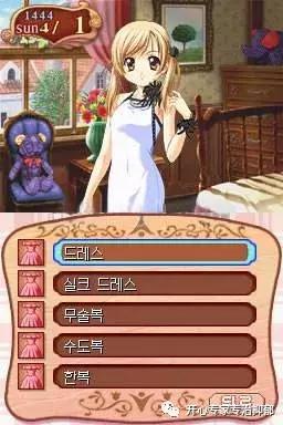 nds掌机视频,nds掌机十大作品