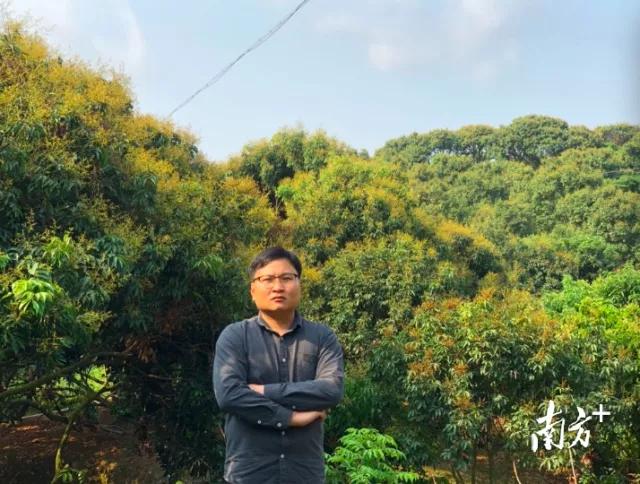 荔枝丰收季最新视频,荔枝丰收季广东