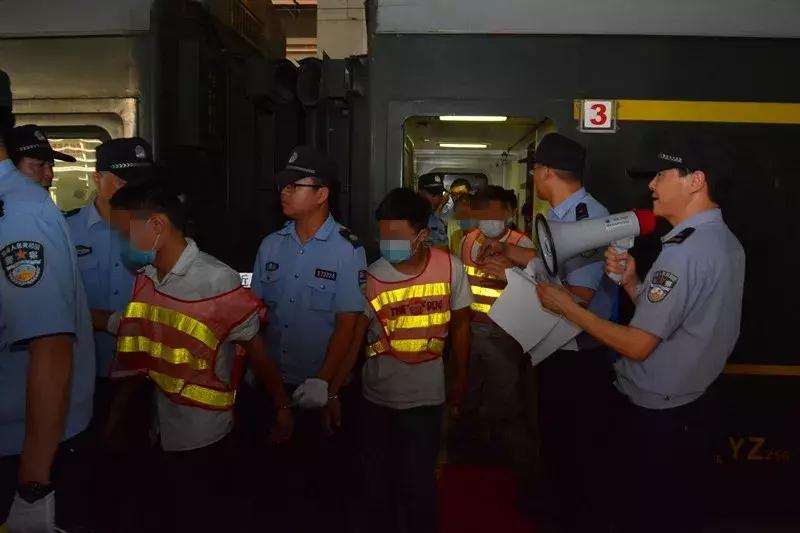 虫草姑娘卖茶被骗,虫草姑娘卖茶妹