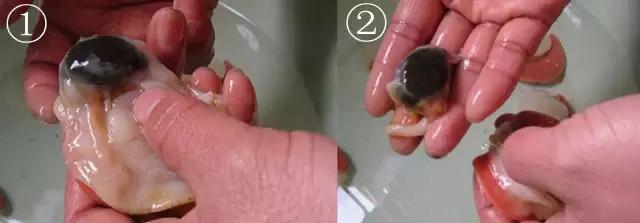 开海在即，威海渔民忙着修船补网，整装待发