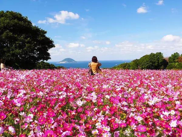 日本九州7天旅游攻略推荐,日本九州的旅游景点