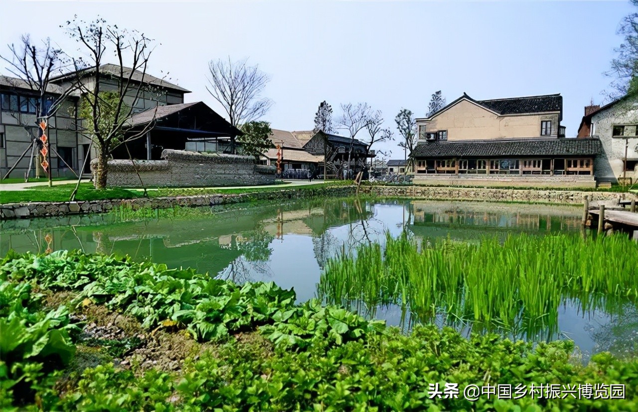 乡村振兴案例2021,乡村振兴案例2022