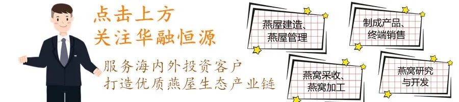 燕窝哪种好,燕窝选什么样的最划算