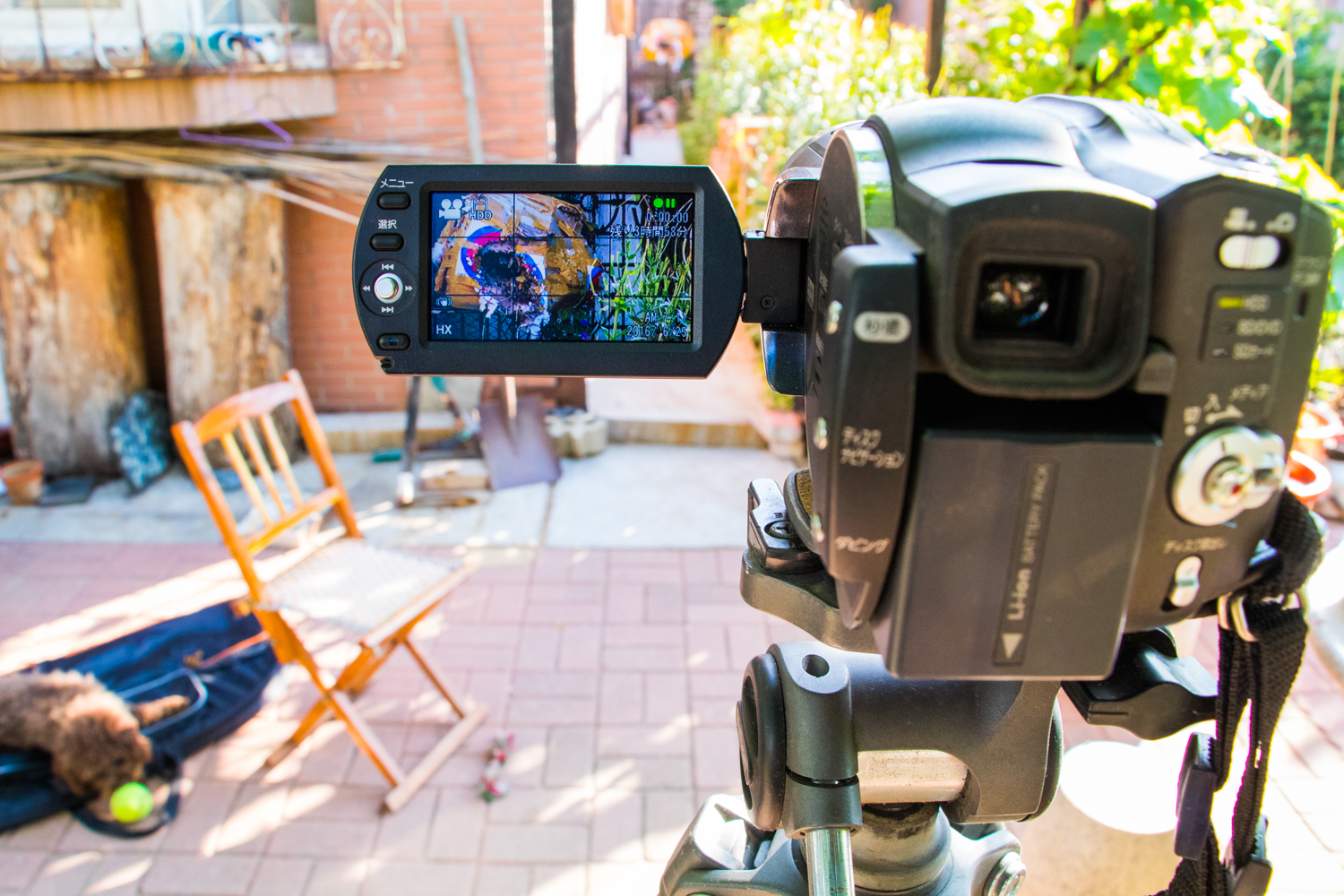 国产复合弓十大品牌,实战测试弓和弩