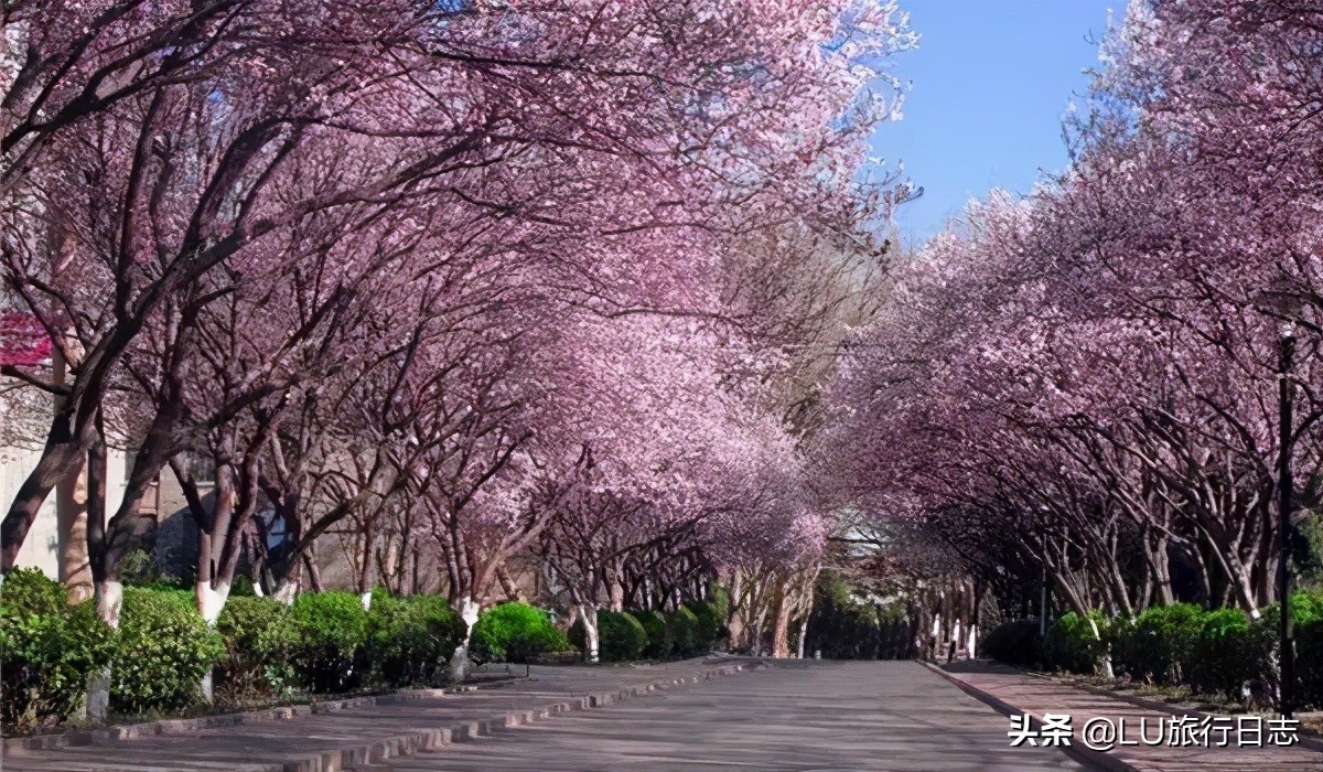 2023山东高考大学推荐,高考学子看过来