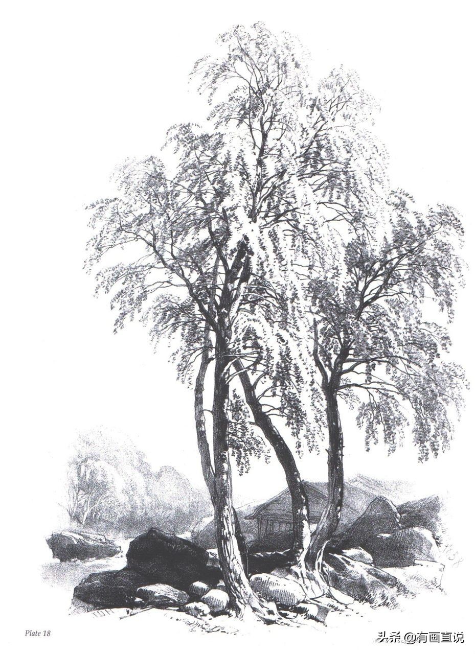 素描临摹高清大图初学,素描教程初学者临摹图