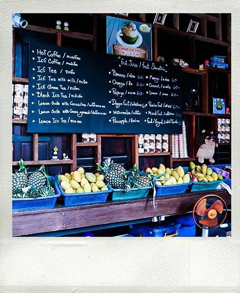 恋恋丽贝岛，人狗情未了|KohLipe