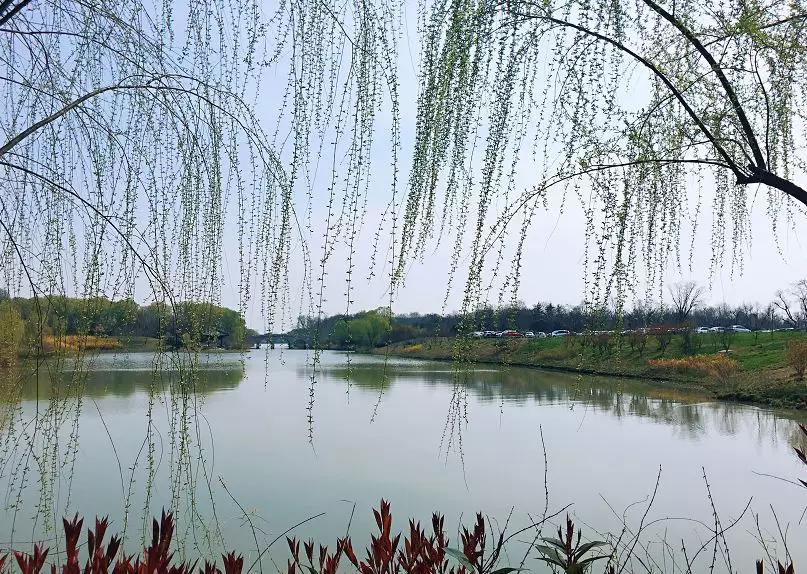 现在的半价优惠,免费半价会一起来吗