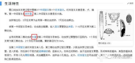 「头条」开水烫三次都杀不死的虫子，不用净水器过滤还能用什么？