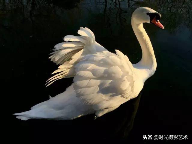 手机摄影创作后期教程,手机摄影的光影技术