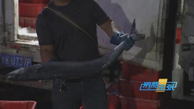 三亚海鲜市场皮皮虾多少钱一斤,海鲜市场上的皮皮虾