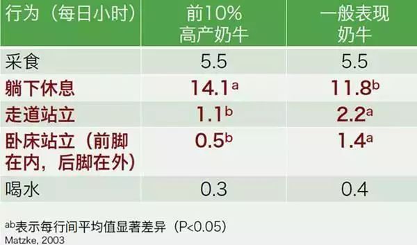 选择奶牛注意事项,提高奶牛舒适度的管理技巧